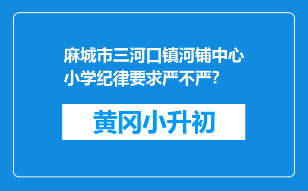 麻城市三河口镇河铺中心小学纪律要求严不严？