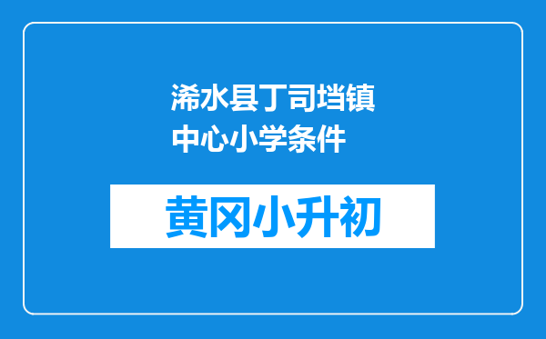 浠水县丁司垱镇中心小学条件