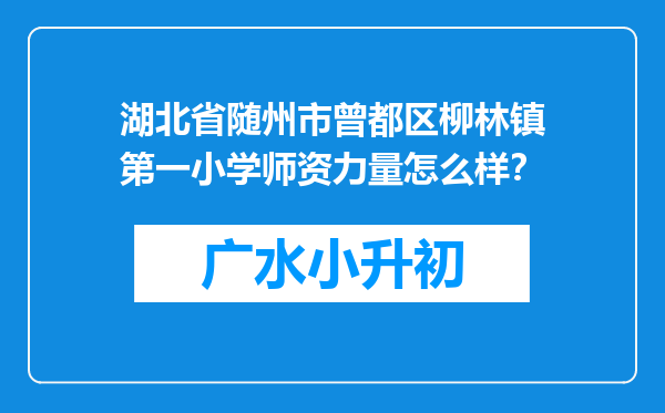 湖北省随州市曾都区柳林镇第一小学师资力量怎么样？