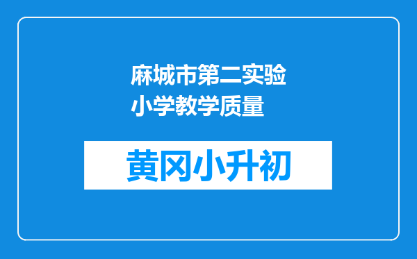 麻城市第二实验小学教学质量