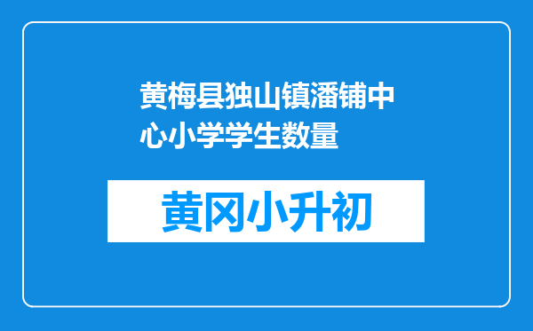 黄梅县独山镇潘铺中心小学学生数量