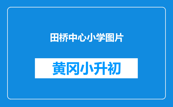 田桥中心小学图片