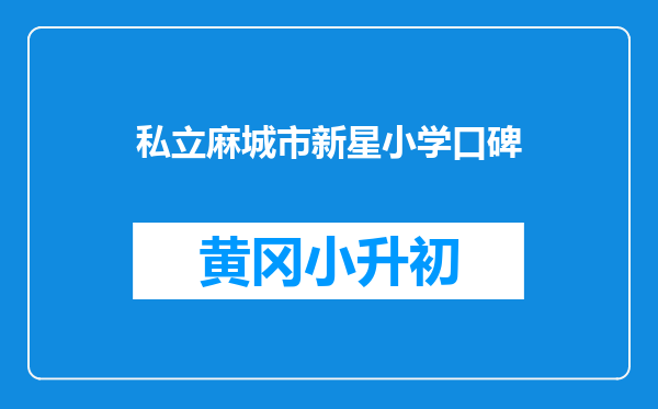 私立麻城市新星小学口碑