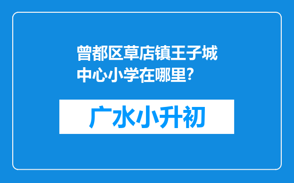曾都区草店镇王子城中心小学在哪里？