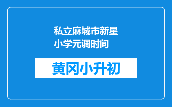 私立麻城市新星小学元调时间