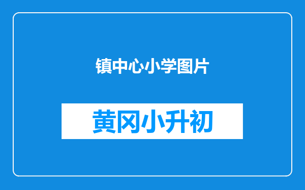 镇中心小学图片