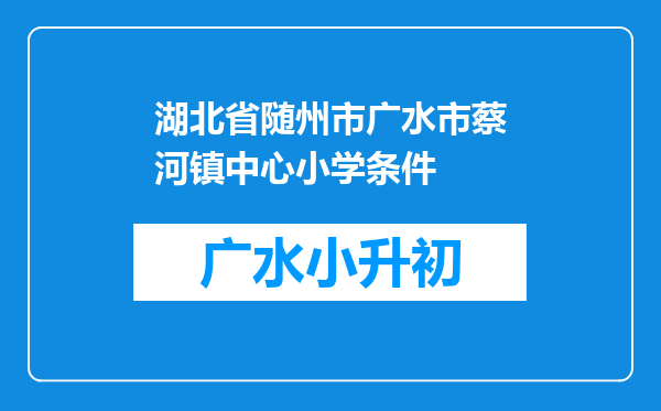 湖北省随州市广水市蔡河镇中心小学条件
