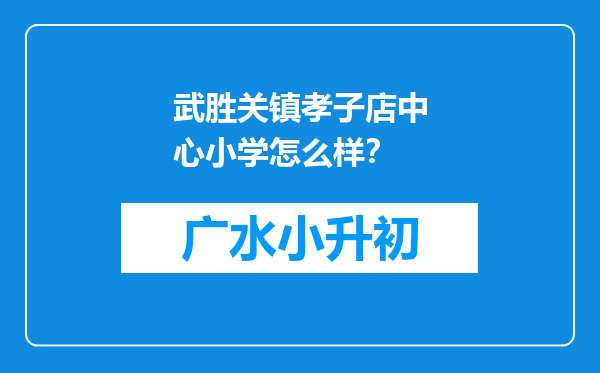 武胜关镇孝子店中心小学怎么样？