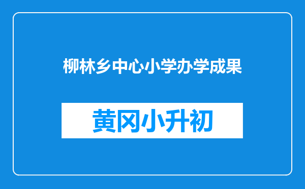 柳林乡中心小学办学成果