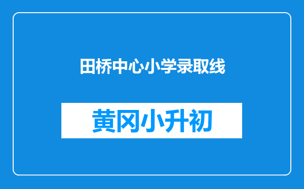 田桥中心小学录取线
