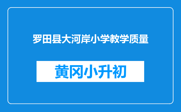 罗田县大河岸小学教学质量
