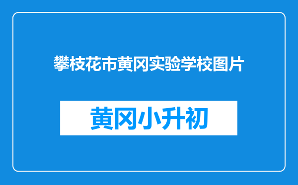 攀枝花市黄冈实验学校图片
