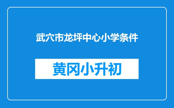 武穴市龙坪中心小学条件