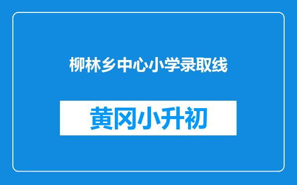 柳林乡中心小学录取线