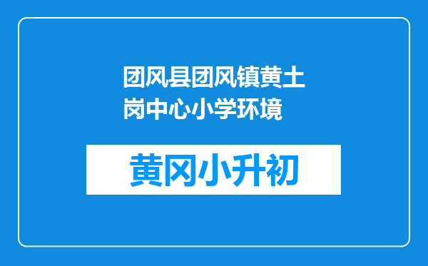 团风县团风镇黄土岗中心小学环境