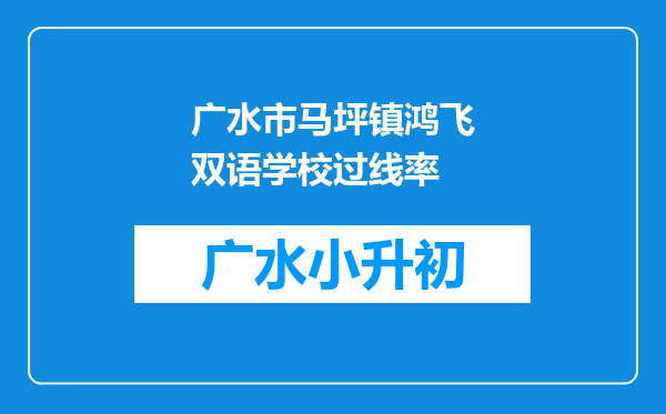 广水市马坪镇鸿飞双语学校过线率