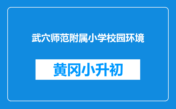 武穴师范附属小学校园环境