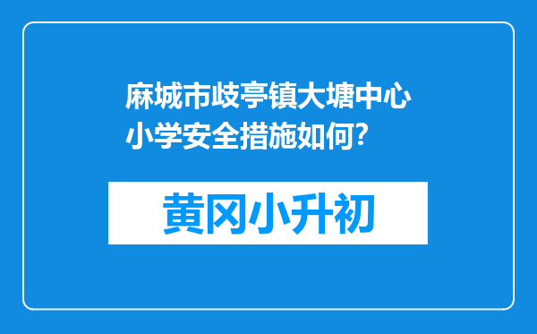 麻城市歧亭镇大塘中心小学安全措施如何？