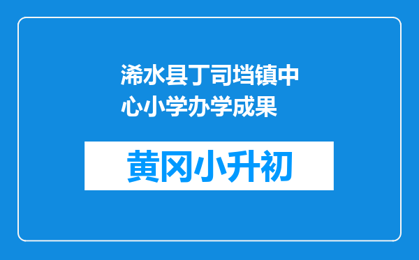 浠水县丁司垱镇中心小学办学成果