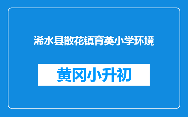 浠水县散花镇育英小学环境