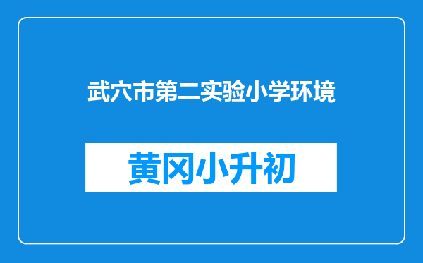 武穴市第二实验小学环境