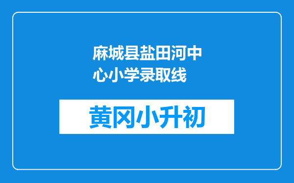 麻城县盐田河中心小学录取线