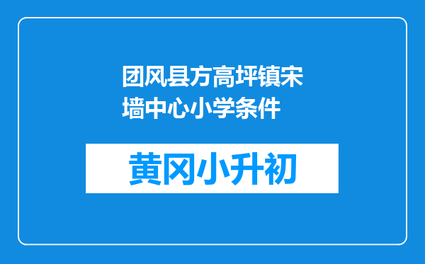 团风县方高坪镇宋墙中心小学条件