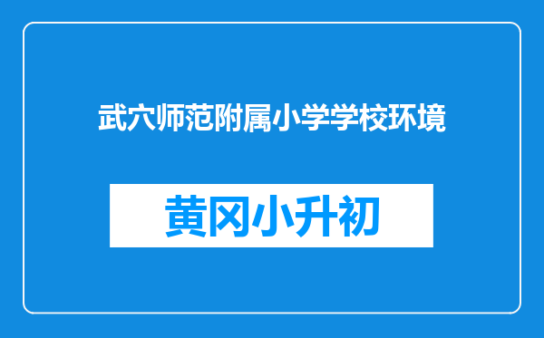 武穴师范附属小学学校环境