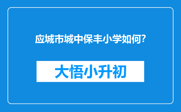 应城市城中保丰小学如何？