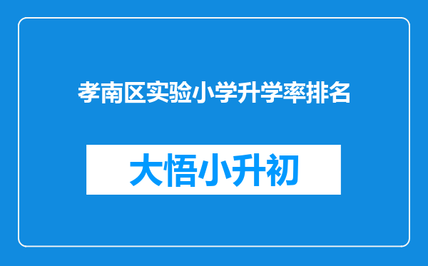 孝南区实验小学升学率排名