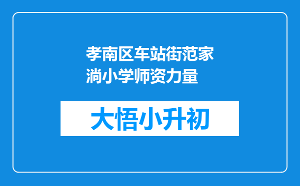 孝南区车站街范家淌小学师资力量