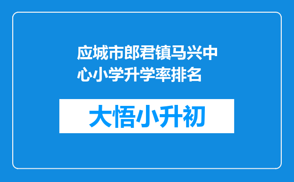 应城市郎君镇马兴中心小学升学率排名