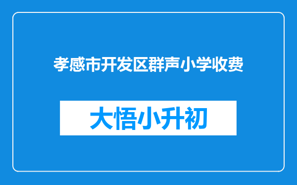 孝感市开发区群声小学收费