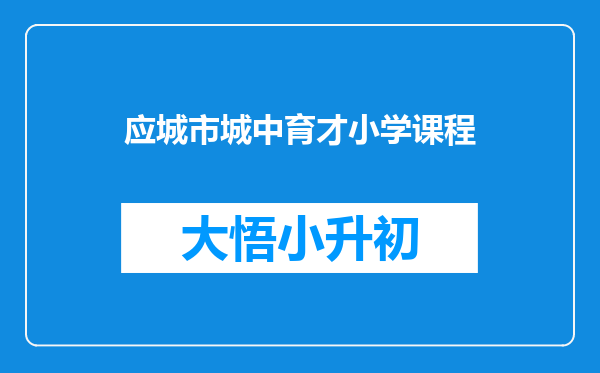 应城市城中育才小学课程