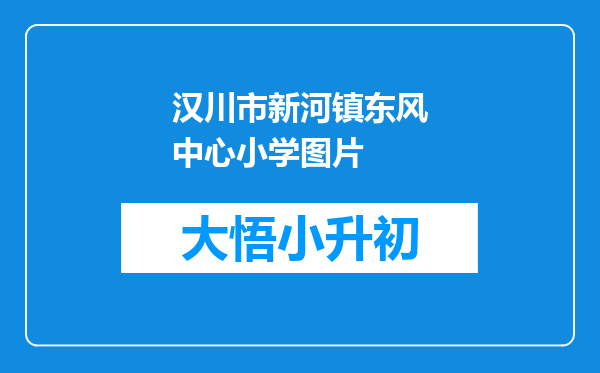 汉川市新河镇东风中心小学图片