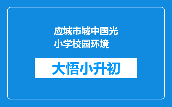 应城市城中国光小学校园环境