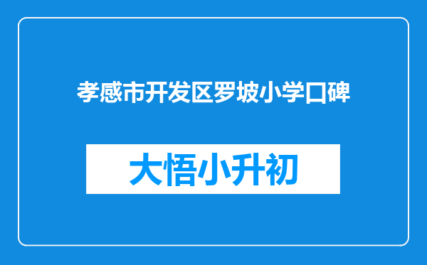 孝感市开发区罗坡小学口碑