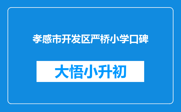 孝感市开发区严桥小学口碑