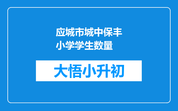 应城市城中保丰小学学生数量