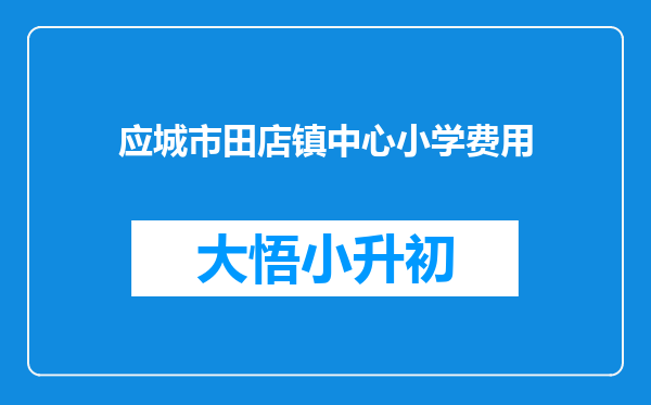 应城市田店镇中心小学费用