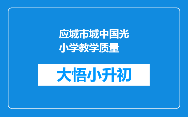 应城市城中国光小学教学质量