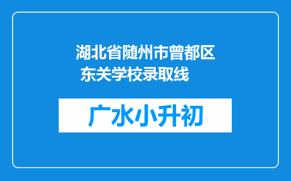 湖北省随州市曾都区 东关学校录取线