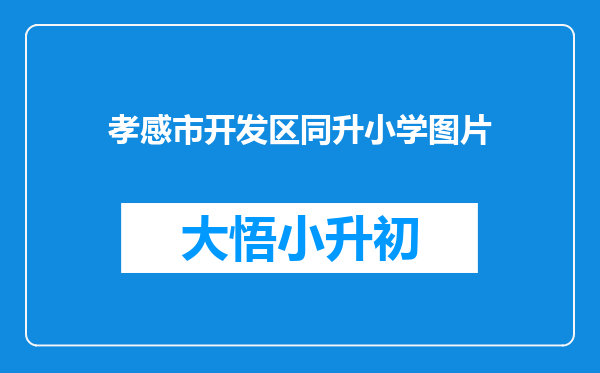 孝感市开发区同升小学图片