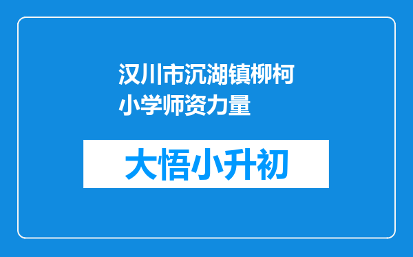 汉川市沉湖镇柳柯小学师资力量