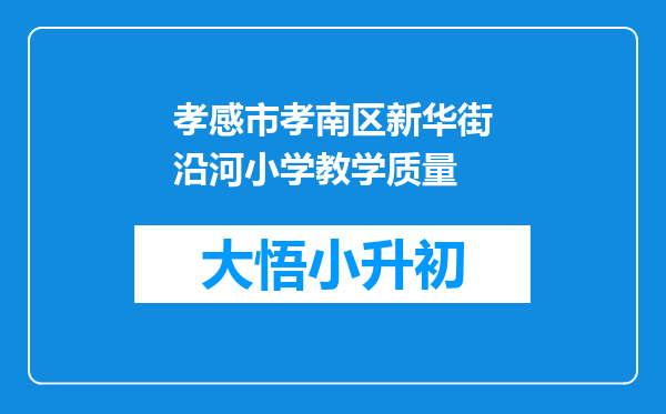 孝感市孝南区新华街沿河小学教学质量