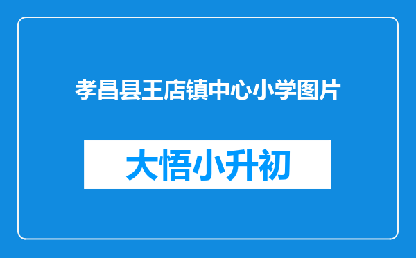 孝昌县王店镇中心小学图片