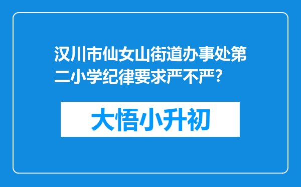 汉川市仙女山街道办事处第二小学纪律要求严不严？