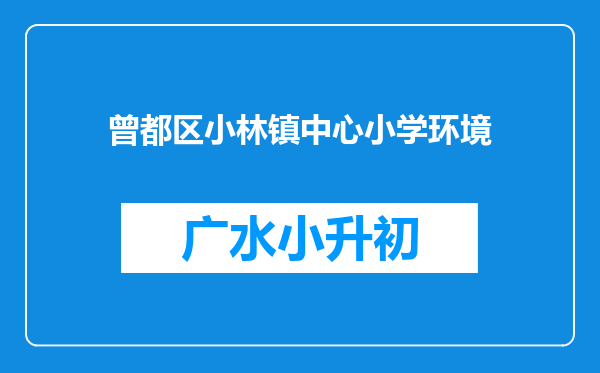 曾都区小林镇中心小学环境