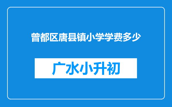 曾都区唐县镇小学学费多少