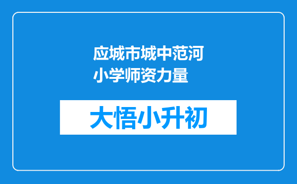 应城市城中范河小学师资力量